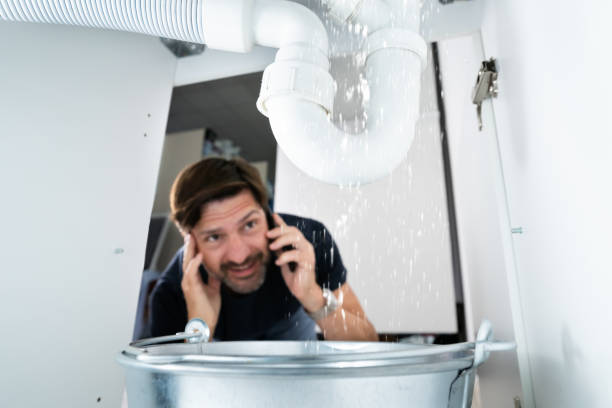 Best Local Plumber Services  in Fox Lake, WI