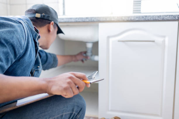 Best Best Plumbers Near Me  in Fox Lake, WI