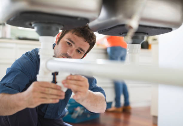 Best Plumbing Inspection Services  in Fox Lake, WI