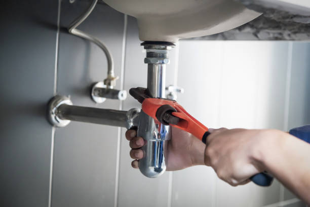 Best Leak Detection Services  in Fox Lake, WI