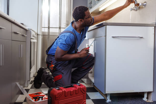Best Faucet Repair  in Fox Lake, WI
